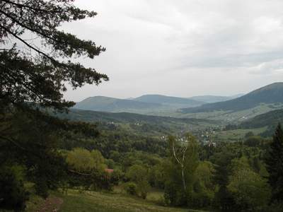 Panorama Wglwki